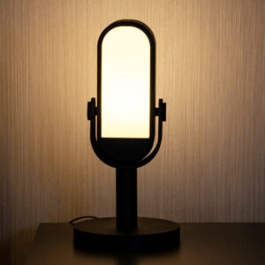 The Mic XL