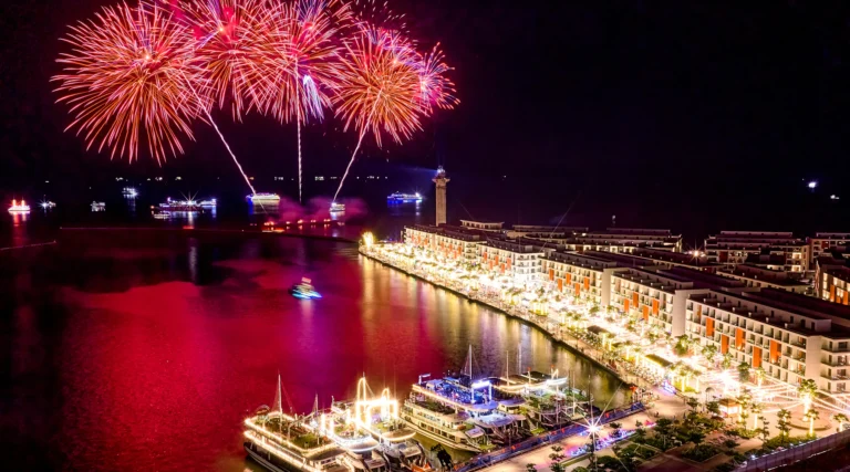 Fuochi d’artificio sul porto di notte