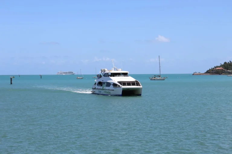Foto illustrativa: catamarano a motore